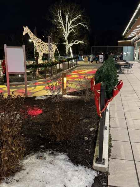 Elmwood Park Zoo Pathway Lit By Vancouver Bollards and Holiday Lights