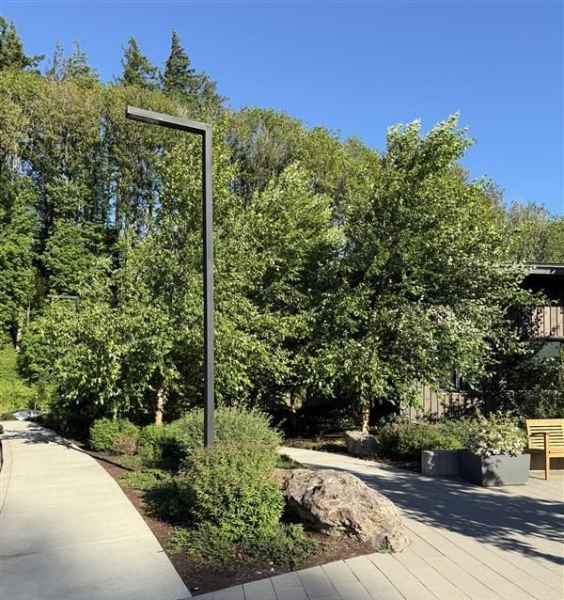 Luminaire By Bench, Bushes, and Trees