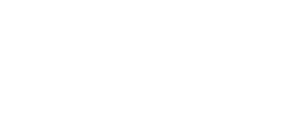 DaVinci Logo White (1) DaVinci Pole Logo