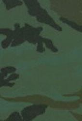 camouflage finish