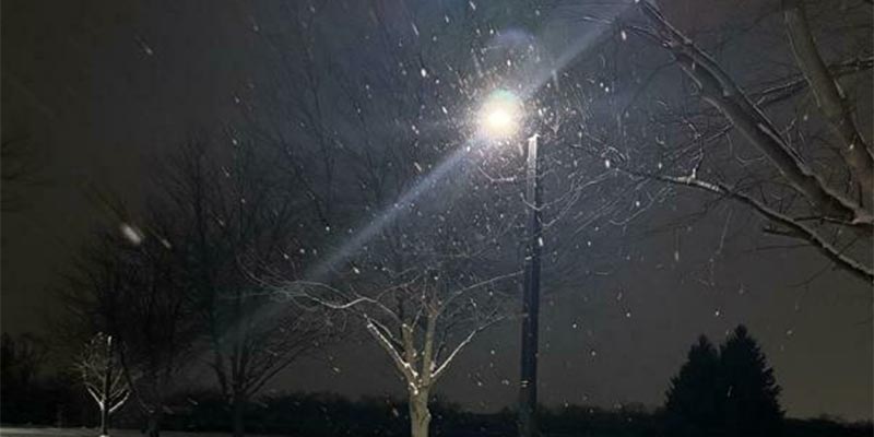Case Study IMG 1 A Zenith solar streetlight lights a wooded path after dark